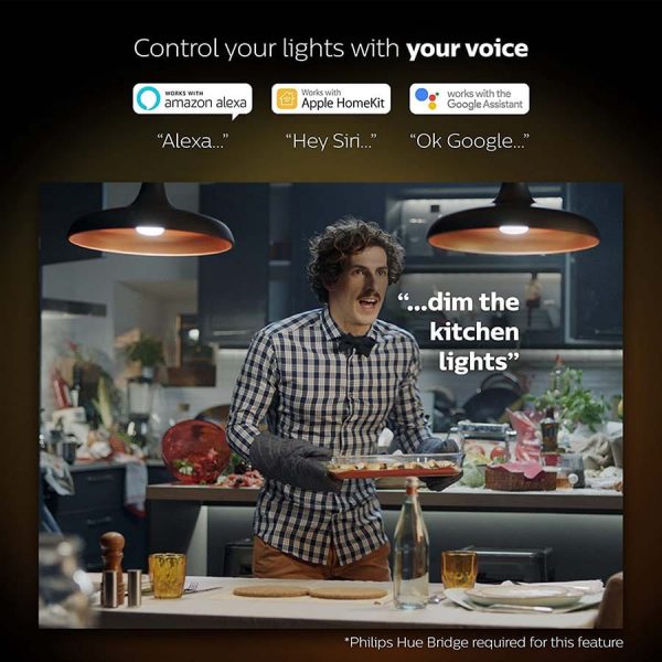 philips hue with voice